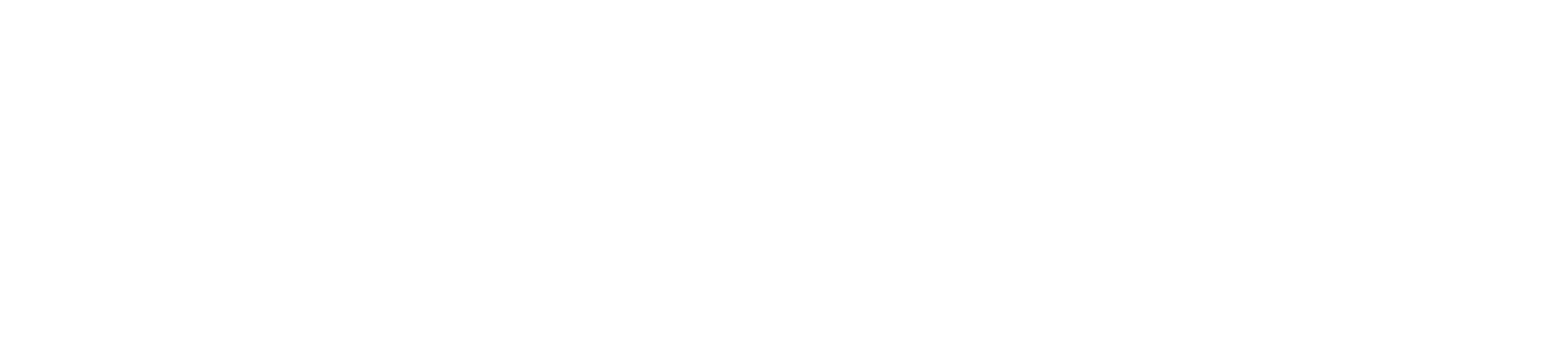 Voyado_logo